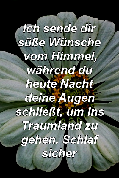 Ich sende dir süße Wünsche vom Himmel, während du heute Nacht deine Augen schließt, um ins Traumland zu gehen. Schlaf sicher