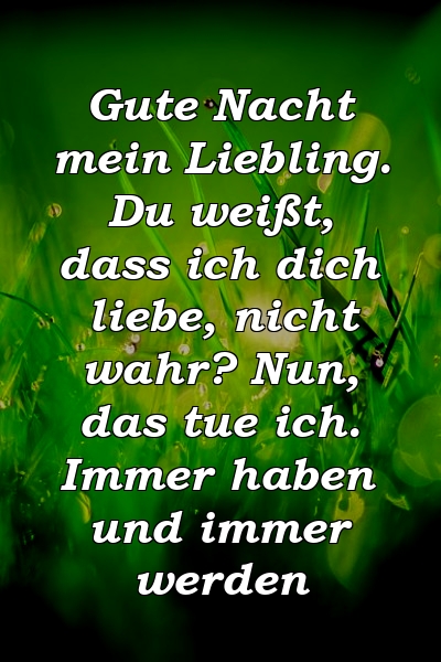 Gute Nacht mein Liebling. Du weißt, dass ich dich liebe, nicht wahr? Nun, das tue ich. Immer haben und immer werden