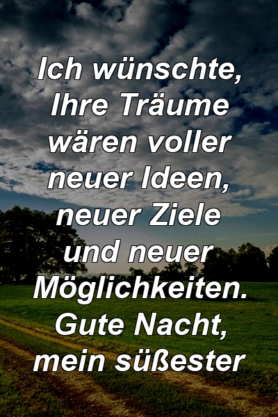 Ich wünschte, Ihre Träume wären voller neuer Ideen, neuer Ziele und neuer Möglichkeiten. Gute Nacht, mein süßester