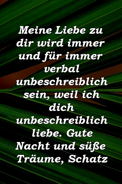 Meine Liebe zu dir wird immer und für immer verbal unbeschreiblich sein, weil ich dich unbeschreiblich liebe. Gute Nacht und süße Träume, Schatz