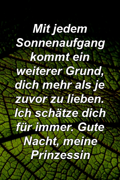 Mit jedem Sonnenaufgang kommt ein weiterer Grund, dich mehr als je zuvor zu lieben. Ich schätze dich für immer. Gute Nacht, meine Prinzessin