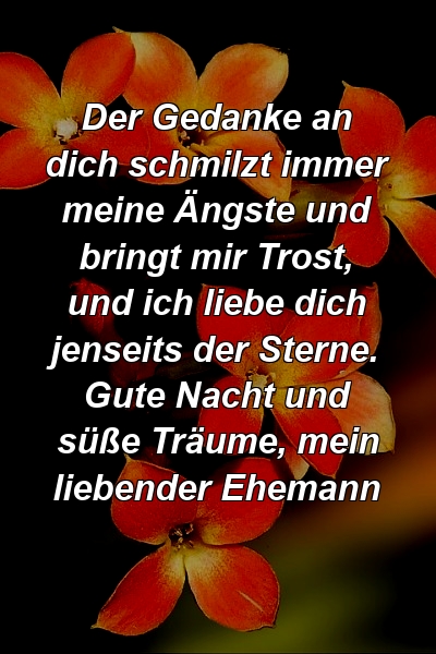 Der Gedanke an dich schmilzt immer meine Ängste und bringt mir Trost, und ich liebe dich jenseits der Sterne. Gute Nacht und süße Träume, mein liebender Ehemann