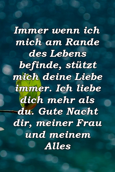 Immer wenn ich mich am Rande des Lebens befinde, stützt mich deine Liebe immer. Ich liebe dich mehr als du. Gute Nacht dir, meiner Frau und meinem Alles