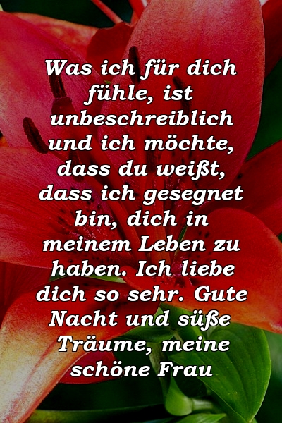 Was ich für dich fühle, ist unbeschreiblich und ich möchte, dass du weißt, dass ich gesegnet bin, dich in meinem Leben zu haben. Ich liebe dich so sehr. Gute Nacht und süße Träume, meine schöne Frau