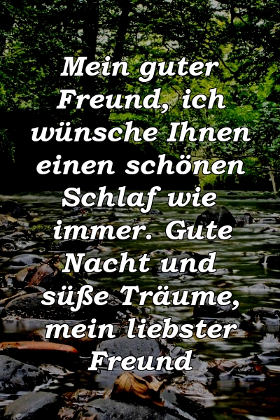 Mein guter Freund, ich wünsche Ihnen einen schönen Schlaf wie immer. Gute Nacht und süße Träume, mein liebster Freund