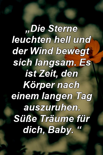 „Die Sterne leuchten hell und der Wind bewegt sich langsam. Es ist Zeit, den Körper nach einem langen Tag auszuruhen. Süße Träume für dich, Baby. “