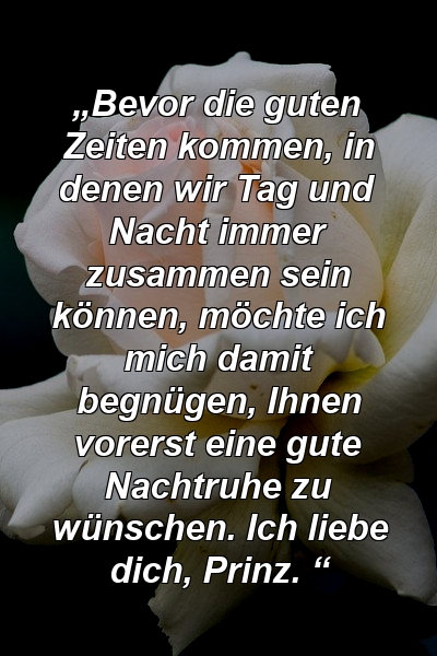 „Bevor die guten Zeiten kommen, in denen wir Tag und Nacht immer zusammen sein können, möchte ich mich damit begnügen, Ihnen vorerst eine gute Nachtruhe zu wünschen. Ich liebe dich, Prinz. “