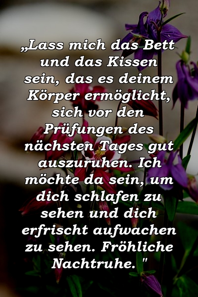 „Lass mich das Bett und das Kissen sein, das es deinem Körper ermöglicht, sich vor den Prüfungen des nächsten Tages gut auszuruhen. Ich möchte da sein, um dich schlafen zu sehen und dich erfrischt aufwachen zu sehen. Fröhliche Nachtruhe. "