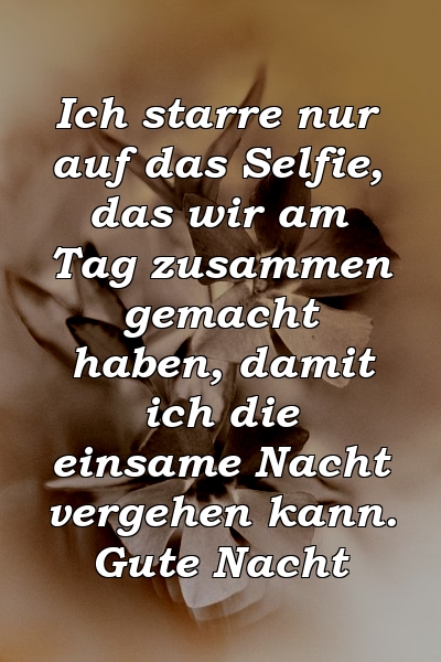 Ich starre nur auf das Selfie, das wir am Tag zusammen gemacht haben, damit ich die einsame Nacht vergehen kann. Gute Nacht