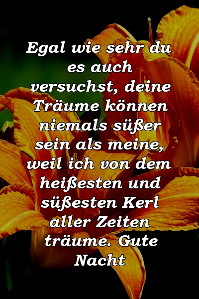 Egal wie sehr du es auch versuchst, deine Träume können niemals süßer sein als meine, weil ich von dem heißesten und süßesten Kerl aller Zeiten träume. Gute Nacht