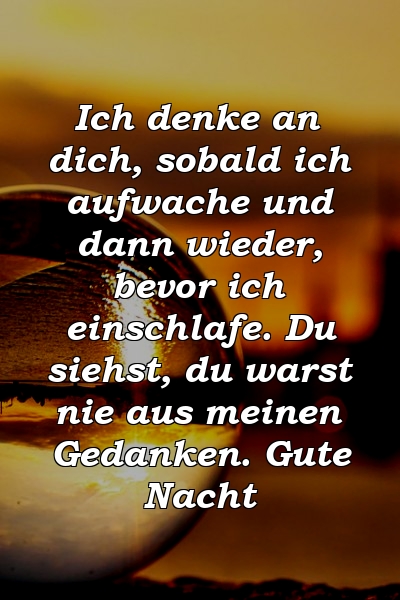 Ich denke an dich, sobald ich aufwache und dann wieder, bevor ich einschlafe. Du siehst, du warst nie aus meinen Gedanken. Gute Nacht