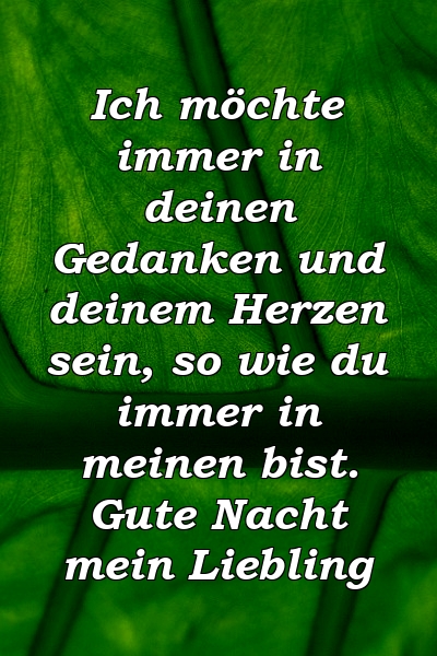 Ich möchte immer in deinen Gedanken und deinem Herzen sein, so wie du immer in meinen bist. Gute Nacht mein Liebling