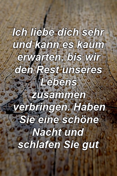 Ich liebe dich sehr und kann es kaum erwarten, bis wir den Rest unseres Lebens zusammen verbringen. Haben Sie eine schöne Nacht und schlafen Sie gut