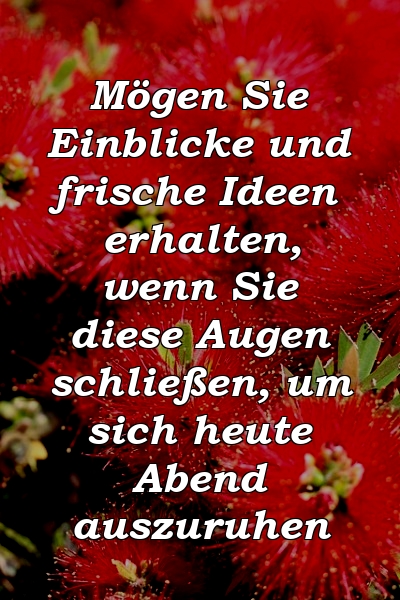 Mögen Sie Einblicke und frische Ideen erhalten, wenn Sie diese Augen schließen, um sich heute Abend auszuruhen