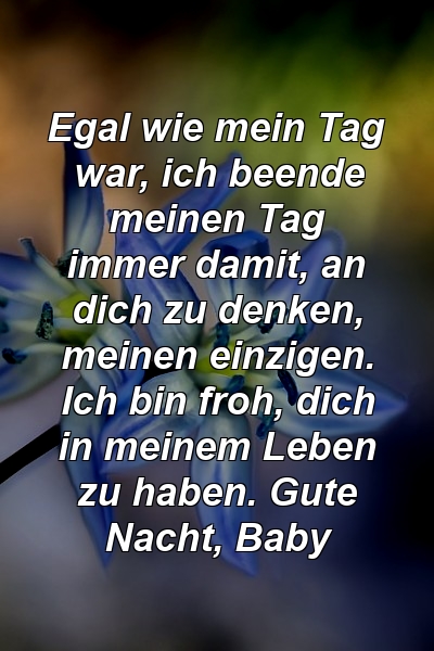 Egal wie mein Tag war, ich beende meinen Tag immer damit, an dich zu denken, meinen einzigen. Ich bin froh, dich in meinem Leben zu haben. Gute Nacht, Baby