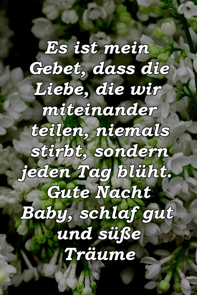 Es ist mein Gebet, dass die Liebe, die wir miteinander teilen, niemals stirbt, sondern jeden Tag blüht. Gute Nacht Baby, schlaf gut und süße Träume