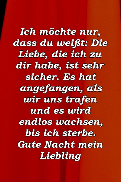 Ich möchte nur, dass du weißt: Die Liebe, die ich zu dir habe, ist sehr sicher. Es hat angefangen, als wir uns trafen und es wird endlos wachsen, bis ich sterbe. Gute Nacht mein Liebling