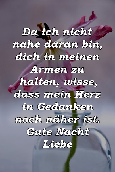 Da ich nicht nahe daran bin, dich in meinen Armen zu halten, wisse, dass mein Herz in Gedanken noch näher ist. Gute Nacht Liebe