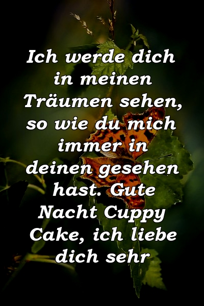 Ich werde dich in meinen Träumen sehen, so wie du mich immer in deinen gesehen hast. Gute Nacht Cuppy Cake, ich liebe dich sehr