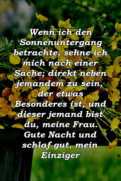 Wenn ich den Sonnenuntergang betrachte, sehne ich mich nach einer Sache; direkt neben jemandem zu sein, der etwas Besonderes ist, und dieser jemand bist du, meine Frau. Gute Nacht und schlaf gut, mein Einziger