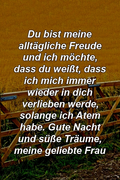 Du bist meine alltägliche Freude und ich möchte, dass du weißt, dass ich mich immer wieder in dich verlieben werde, solange ich Atem habe. Gute Nacht und süße Träume, meine geliebte Frau