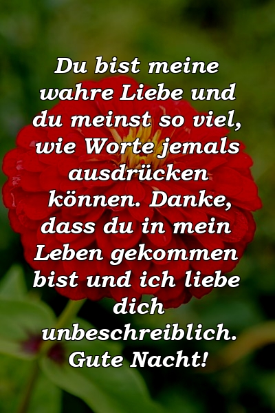 Du bist meine wahre Liebe und du meinst so viel, wie Worte jemals ausdrücken können. Danke, dass du in mein Leben gekommen bist und ich liebe dich unbeschreiblich. Gute Nacht!