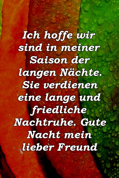 Ich hoffe wir sind in meiner Saison der langen Nächte. Sie verdienen eine lange und friedliche Nachtruhe. Gute Nacht mein lieber Freund