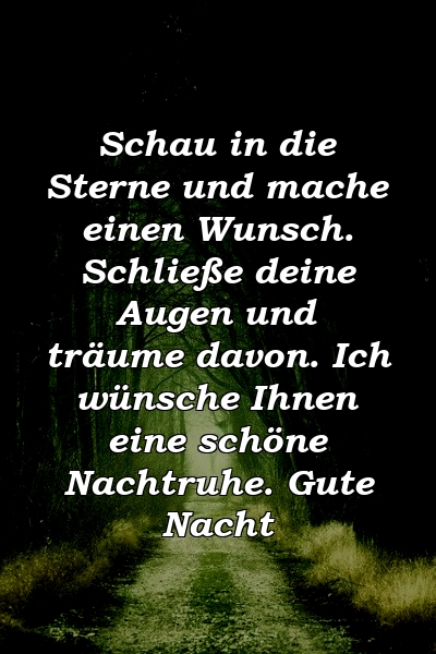 Schau in die Sterne und mache einen Wunsch. Schließe deine Augen und träume davon. Ich wünsche Ihnen eine schöne Nachtruhe. Gute Nacht