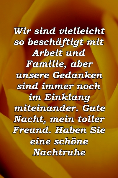 Wir sind vielleicht so beschäftigt mit Arbeit und Familie, aber unsere Gedanken sind immer noch im Einklang miteinander. Gute Nacht, mein toller Freund. Haben Sie eine schöne Nachtruhe