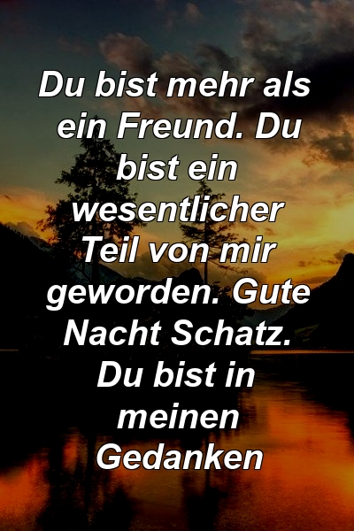 Du bist mehr als ein Freund. Du bist ein wesentlicher Teil von mir geworden. Gute Nacht Schatz. Du bist in meinen Gedanken