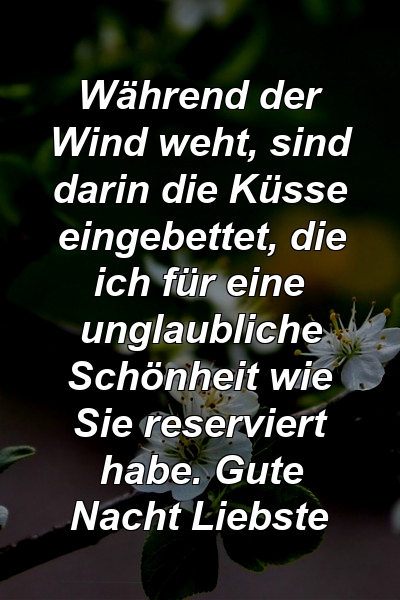 Während der Wind weht, sind darin die Küsse eingebettet, die ich für eine unglaubliche Schönheit wie Sie reserviert habe. Gute Nacht Liebste