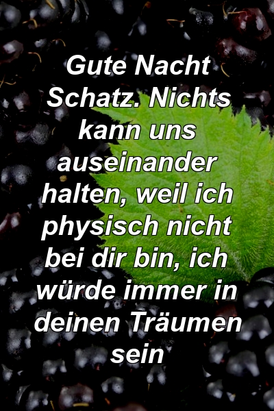 Gute Nacht Schatz. Nichts kann uns auseinander halten, weil ich physisch nicht bei dir bin, ich würde immer in deinen Träumen sein