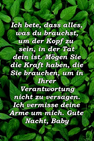 Ich bete, dass alles, was du brauchst, um der Kopf zu sein, in der Tat dein ist. Mögen Sie die Kraft haben, die Sie brauchen, um in Ihrer Verantwortung nicht zu versagen. Ich vermisse deine Arme um mich. Gute Nacht, Baby