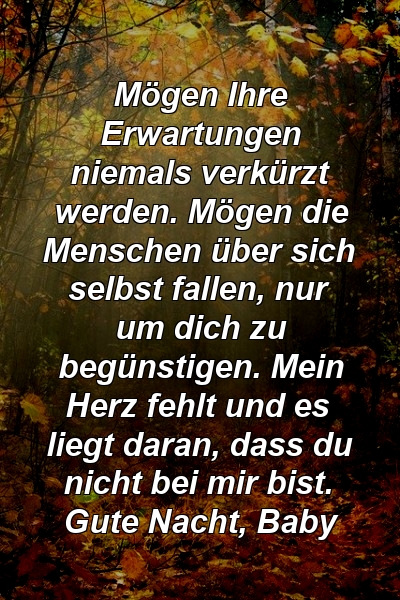 Mögen Ihre Erwartungen niemals verkürzt werden. Mögen die Menschen über sich selbst fallen, nur um dich zu begünstigen. Mein Herz fehlt und es liegt daran, dass du nicht bei mir bist. Gute Nacht, Baby