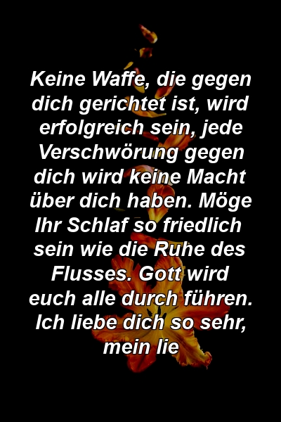 Keine Waffe, die gegen dich gerichtet ist, wird erfolgreich sein, jede Verschwörung gegen dich wird keine Macht über dich haben. Möge Ihr Schlaf so friedlich sein wie die Ruhe des Flusses. Gott wird euch alle durch führen. Ich liebe dich so sehr, mein lie