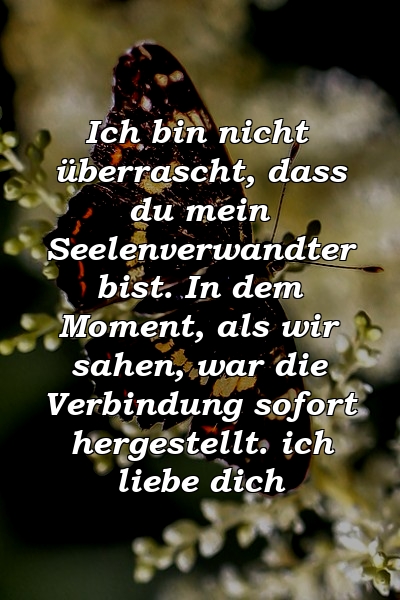 Ich bin nicht überrascht, dass du mein Seelenverwandter bist. In dem Moment, als wir sahen, war die Verbindung sofort hergestellt. ich liebe dich