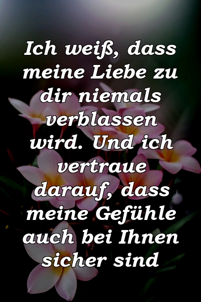 Ich weiß, dass meine Liebe zu dir niemals verblassen wird. Und ich vertraue darauf, dass meine Gefühle auch bei Ihnen sicher sind