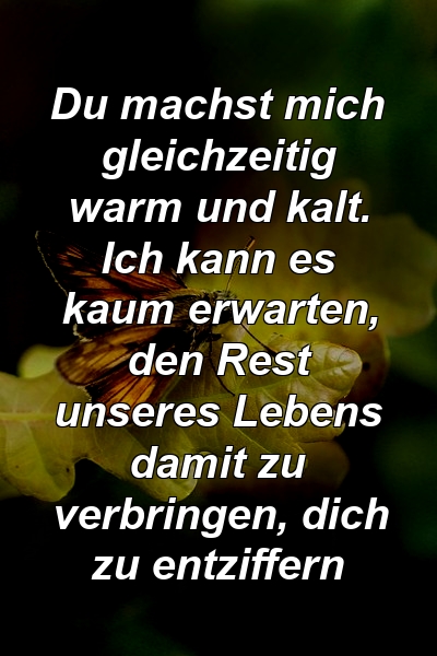 Du machst mich gleichzeitig warm und kalt. Ich kann es kaum erwarten, den Rest unseres Lebens damit zu verbringen, dich zu entziffern