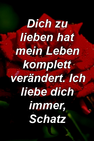 Dich zu lieben hat mein Leben komplett verändert. Ich liebe dich immer, Schatz