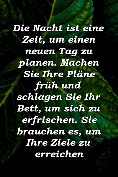 Die Nacht ist eine Zeit, um einen neuen Tag zu planen. Machen Sie Ihre Pläne früh und schlagen Sie Ihr Bett, um sich zu erfrischen. Sie brauchen es, um Ihre Ziele zu erreichen