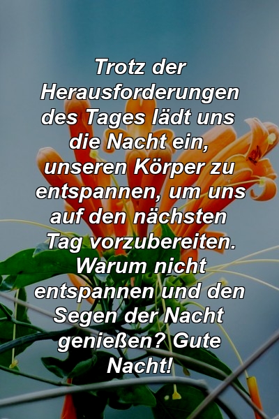 Trotz der Herausforderungen des Tages lädt uns die Nacht ein, unseren Körper zu entspannen, um uns auf den nächsten Tag vorzubereiten. Warum nicht entspannen und den Segen der Nacht genießen? Gute Nacht!