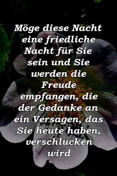 Möge diese Nacht eine friedliche Nacht für Sie sein und Sie werden die Freude empfangen, die der Gedanke an ein Versagen, das Sie heute haben, verschlucken wird