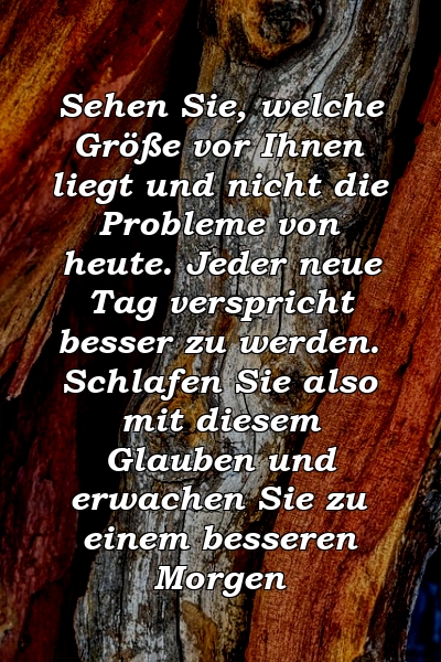 Sehen Sie, welche Größe vor Ihnen liegt und nicht die Probleme von heute. Jeder neue Tag verspricht besser zu werden. Schlafen Sie also mit diesem Glauben und erwachen Sie zu einem besseren Morgen