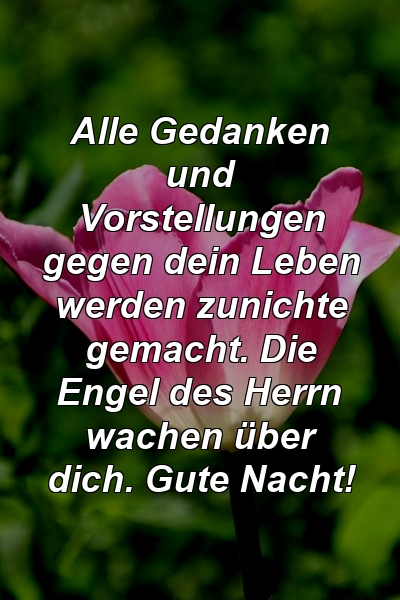 Alle Gedanken und Vorstellungen gegen dein Leben werden zunichte gemacht. Die Engel des Herrn wachen über dich. Gute Nacht!