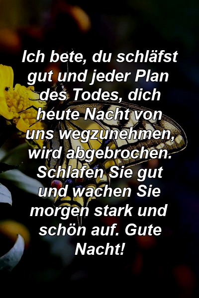 Ich bete, du schläfst gut und jeder Plan des Todes, dich heute Nacht von uns wegzunehmen, wird abgebrochen. Schlafen Sie gut und wachen Sie morgen stark und schön auf. Gute Nacht!