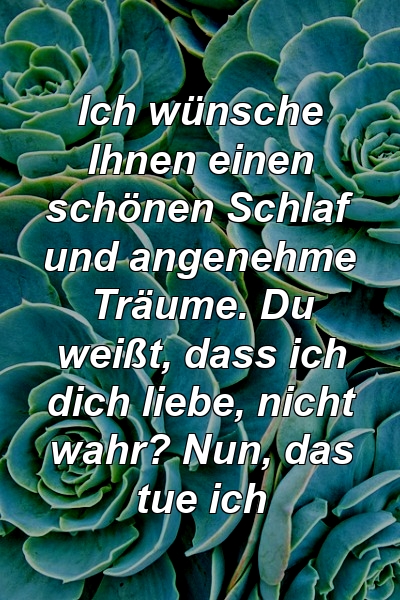 Ich wünsche Ihnen einen schönen Schlaf und angenehme Träume. Du weißt, dass ich dich liebe, nicht wahr? Nun, das tue ich