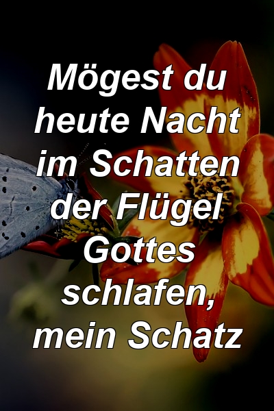 Mögest du heute Nacht im Schatten der Flügel Gottes schlafen, mein Schatz