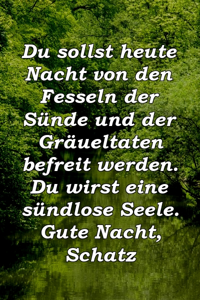 Du sollst heute Nacht von den Fesseln der Sünde und der Gräueltaten befreit werden. Du wirst eine sündlose Seele. Gute Nacht, Schatz