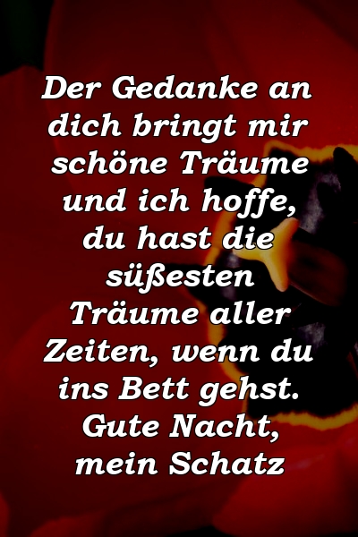 Der Gedanke an dich bringt mir schöne Träume und ich hoffe, du hast die süßesten Träume aller Zeiten, wenn du ins Bett gehst. Gute Nacht, mein Schatz