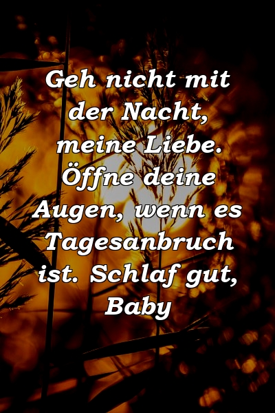 Geh nicht mit der Nacht, meine Liebe. Öffne deine Augen, wenn es Tagesanbruch ist. Schlaf gut, Baby